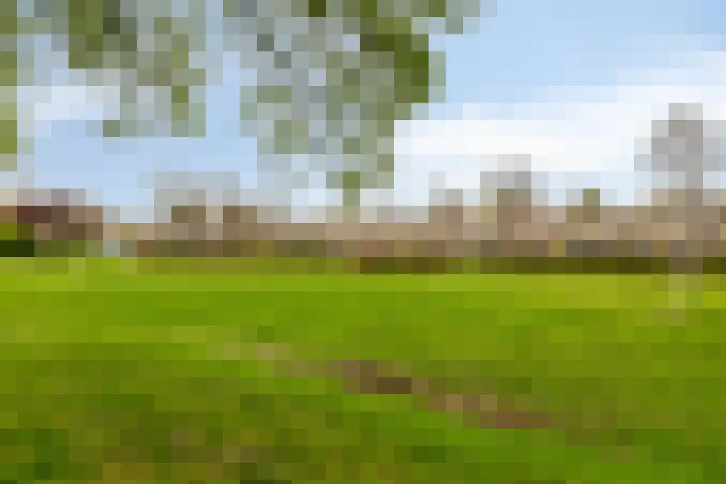 Atlasvlinder 36 Amersfoort thumbnail 38