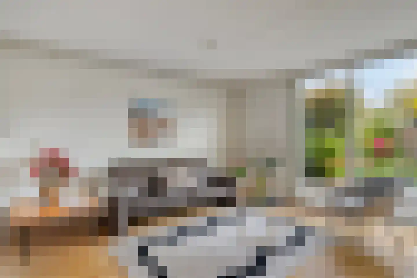 Atlasvlinder 36 Amersfoort thumbnail 6