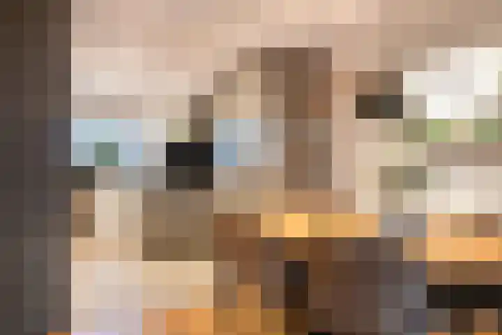 Atlasvlinder 50 Amersfoort thumbnail 10