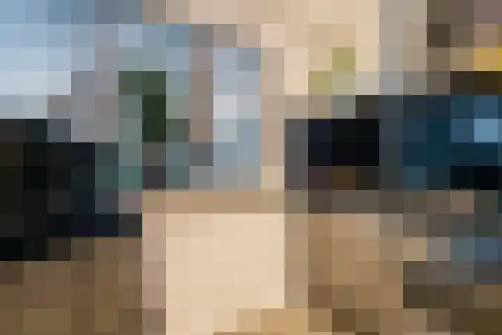 Atlasvlinder 50 Amersfoort thumbnail 12