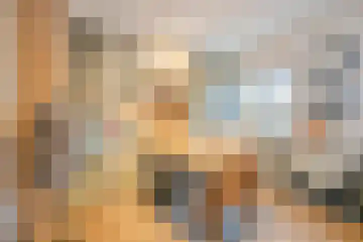 Atlasvlinder 50 Amersfoort thumbnail 16