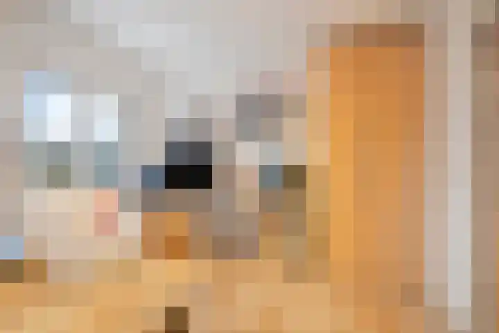 Atlasvlinder 50 Amersfoort thumbnail 17