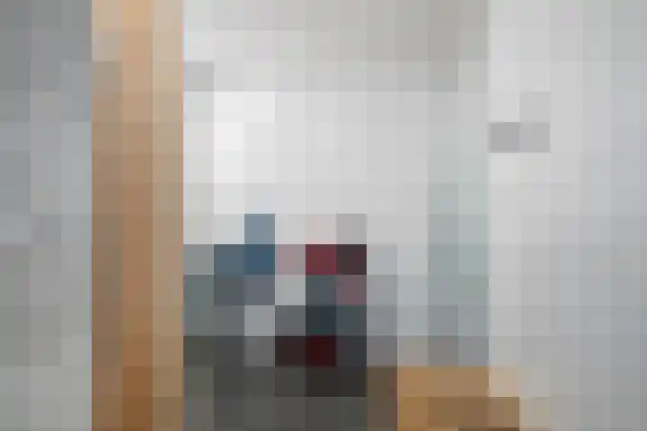 Atlasvlinder 50 Amersfoort thumbnail 18