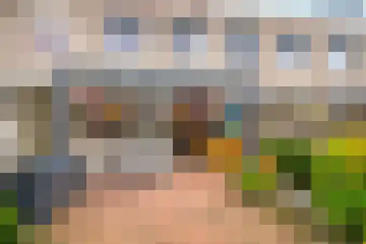Atlasvlinder 50 Amersfoort thumbnail 22