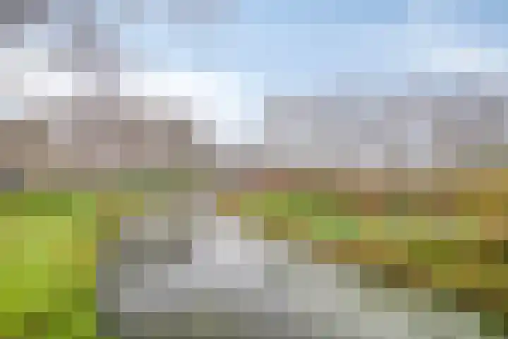 Atlasvlinder 50 Amersfoort thumbnail 24
