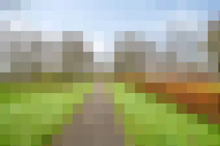 Atlasvlinder 50 Amersfoort thumbnail 25
