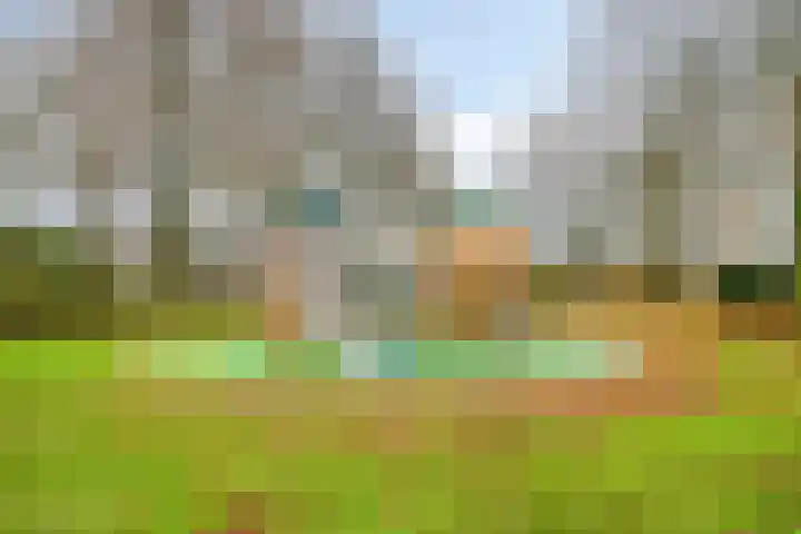 Atlasvlinder 50 Amersfoort thumbnail 26