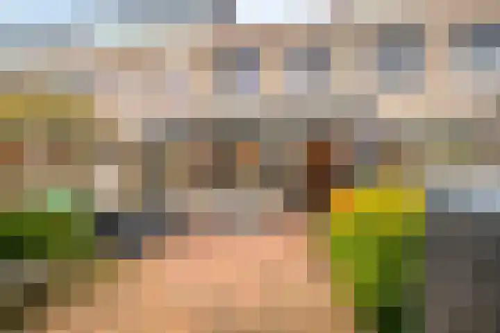 Atlasvlinder 50 Amersfoort thumbnail 4