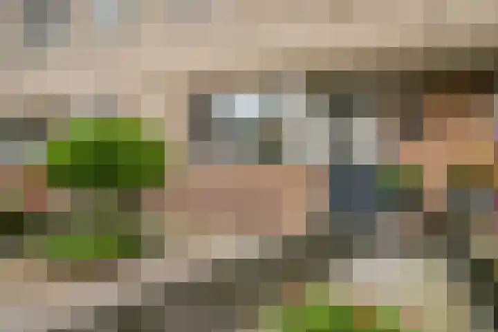 Atlasvlinder 50 Amersfoort thumbnail 5