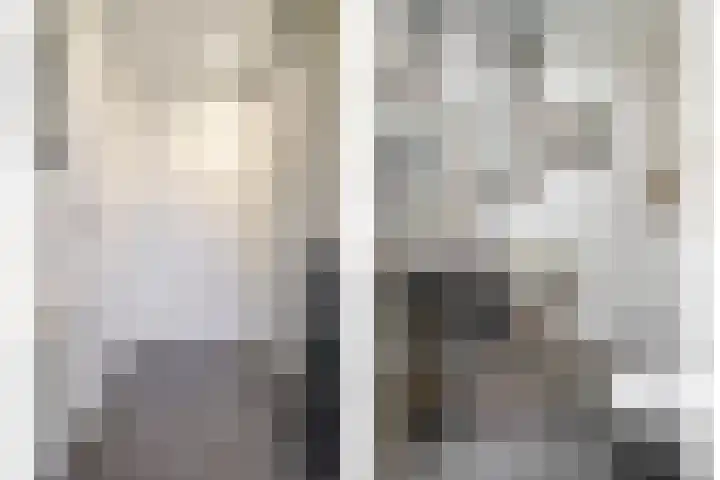 Atlasvlinder 50 Amersfoort thumbnail 6