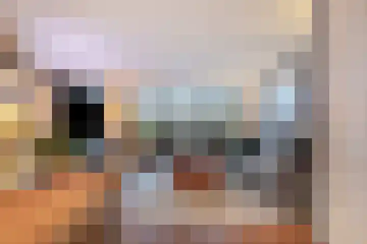 Atlasvlinder 50 Amersfoort thumbnail 7