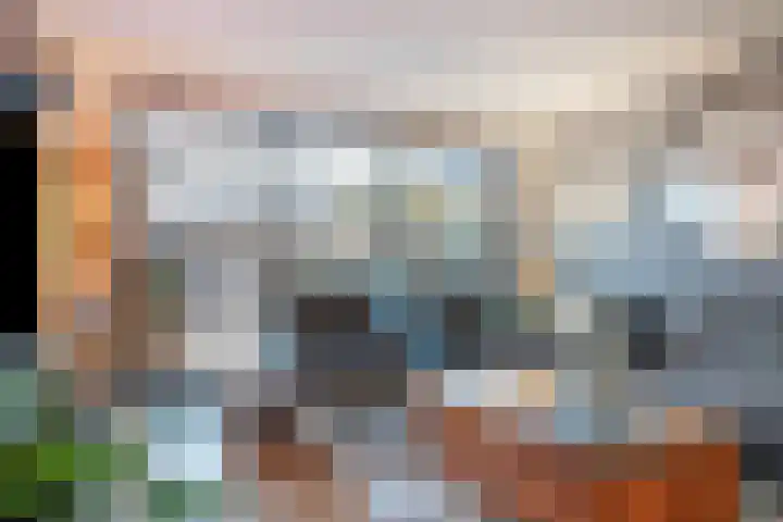 Atlasvlinder 50 Amersfoort thumbnail 8