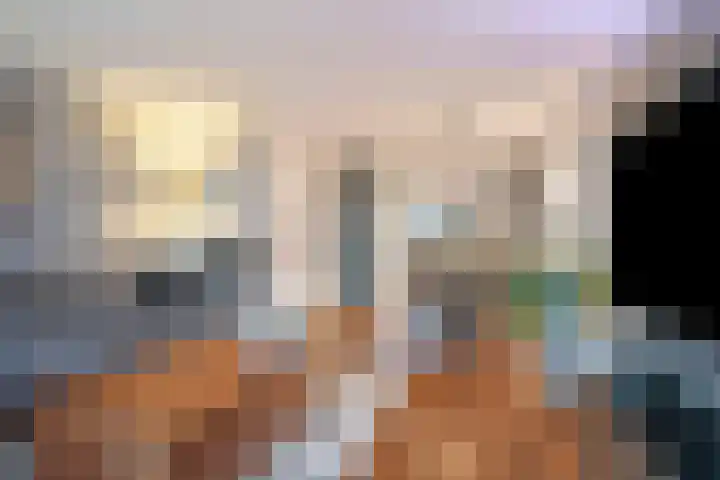 Atlasvlinder 50 Amersfoort thumbnail 9