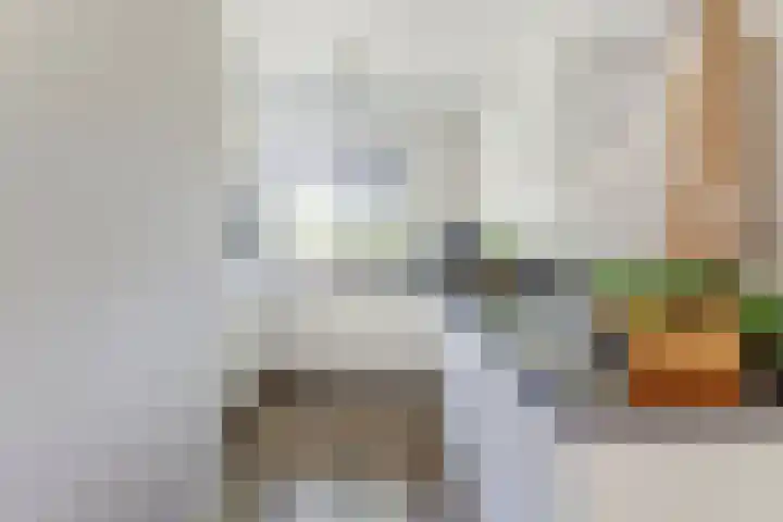 Atlasvlinder 6 Amersfoort thumbnail 10