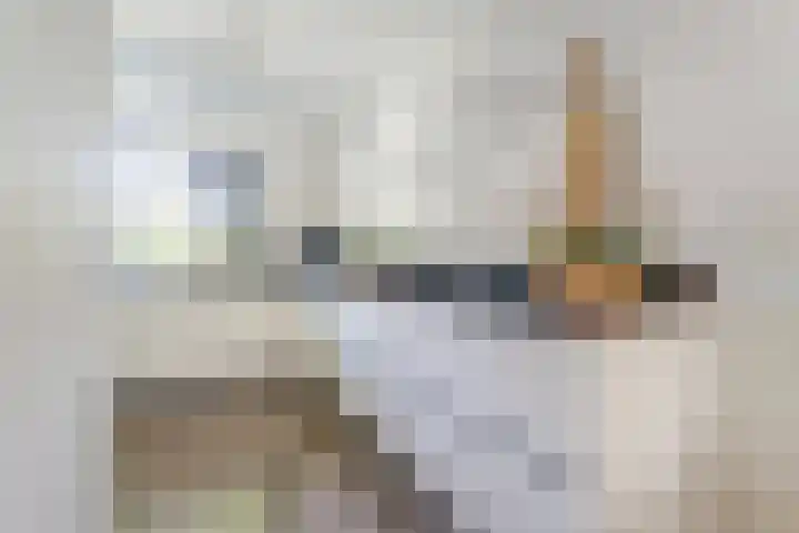 Atlasvlinder 6 Amersfoort thumbnail 11