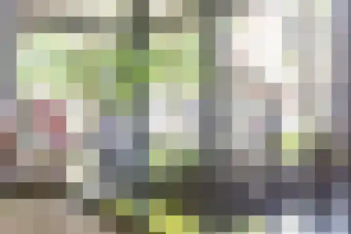 Atlasvlinder 6 Amersfoort thumbnail 12