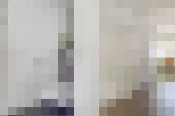 Atlasvlinder 6 Amersfoort thumbnail 17