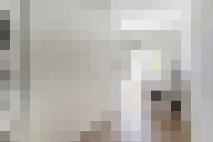 Atlasvlinder 6 Amersfoort thumbnail 21
