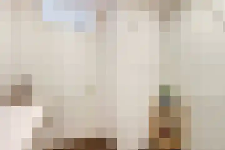 Atlasvlinder 6 Amersfoort thumbnail 24