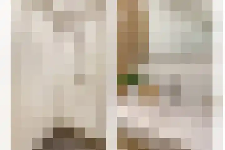Atlasvlinder 6 Amersfoort thumbnail 25