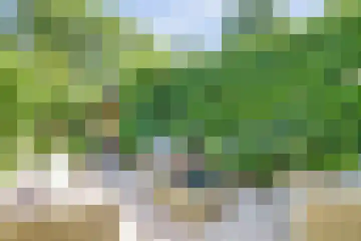 Atlasvlinder 6 Amersfoort thumbnail 26
