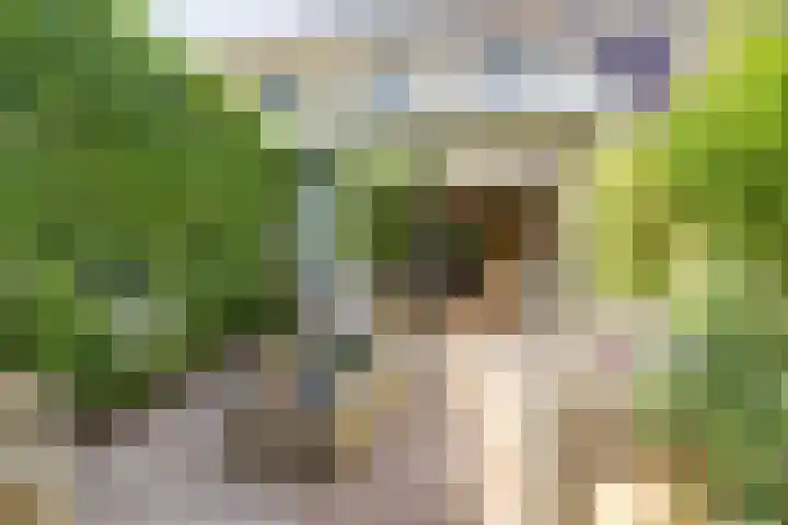 Atlasvlinder 6 Amersfoort thumbnail 28
