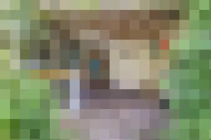 Atlasvlinder 6 Amersfoort thumbnail 29