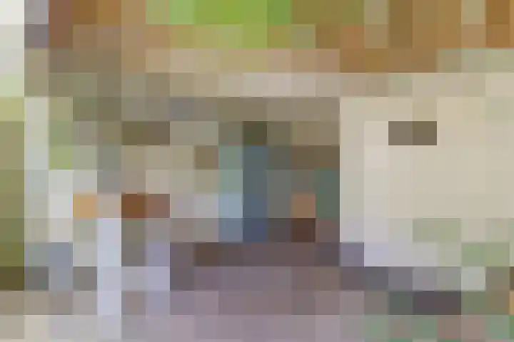 Atlasvlinder 6 Amersfoort thumbnail 31
