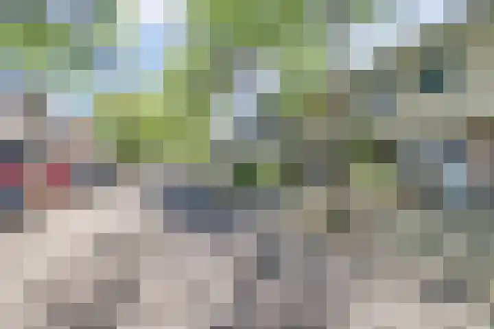Atlasvlinder 6 Amersfoort thumbnail 33