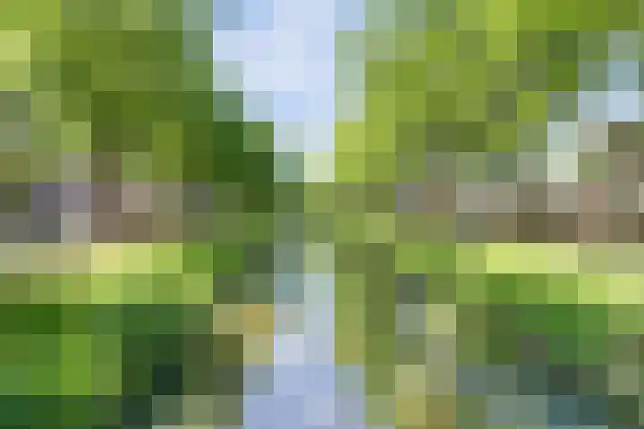 Atlasvlinder 6 Amersfoort thumbnail 34