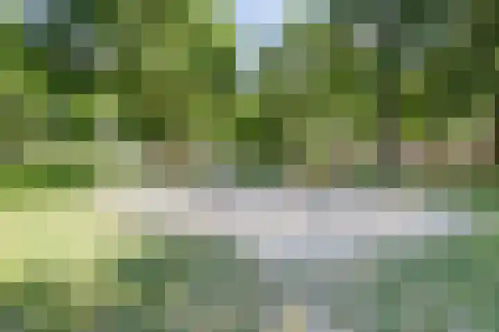 Atlasvlinder 6 Amersfoort thumbnail 35