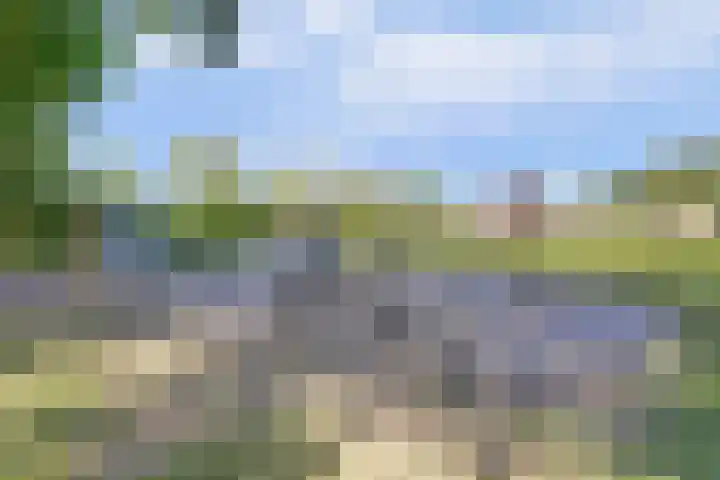 Atlasvlinder 6 Amersfoort thumbnail 36