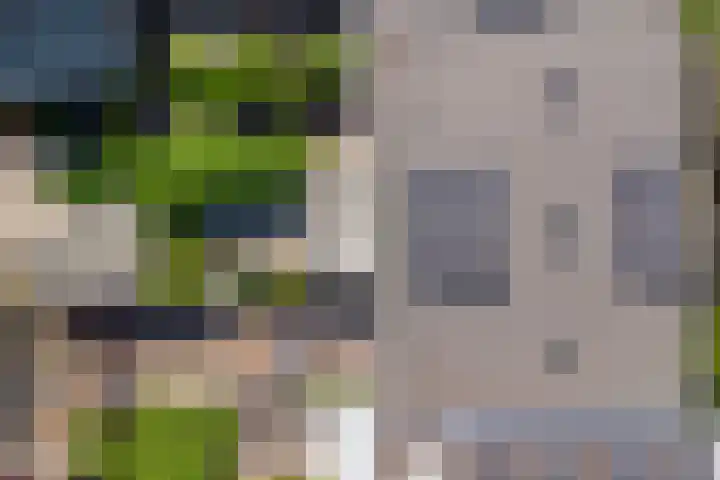Atlasvlinder 6 Amersfoort thumbnail 37