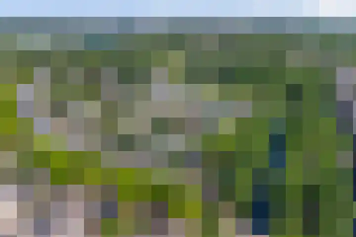 Atlasvlinder 6 Amersfoort thumbnail 38