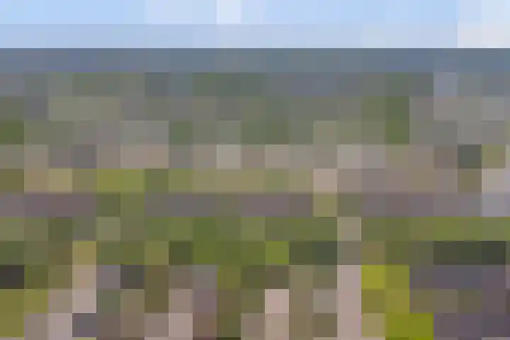 Atlasvlinder 6 Amersfoort thumbnail 39