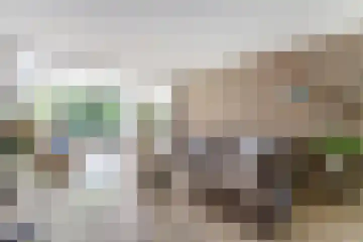 Atlasvlinder 6 Amersfoort thumbnail 4