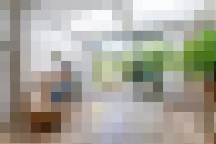 Atlasvlinder 6 Amersfoort thumbnail 5