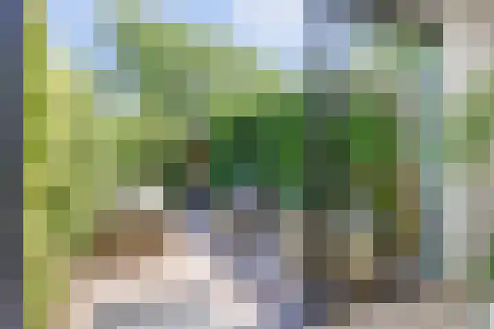 Atlasvlinder 6 Amersfoort thumbnail 6