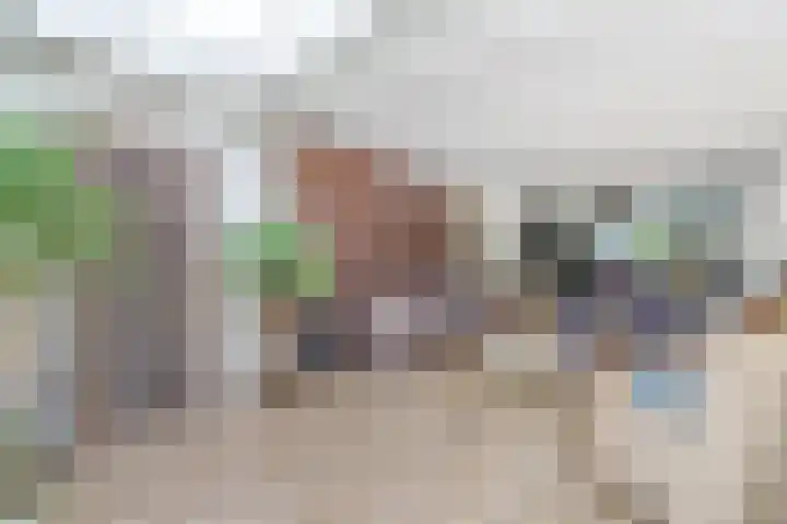 Atlasvlinder 6 Amersfoort thumbnail 7