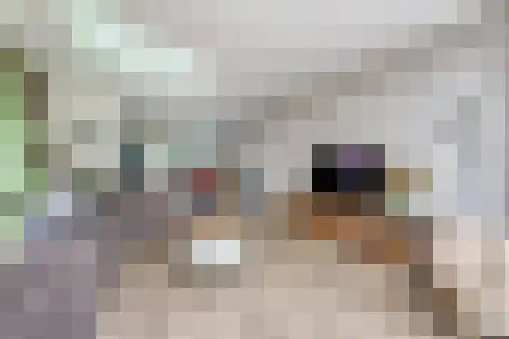 Atlasvlinder 6 Amersfoort thumbnail 9