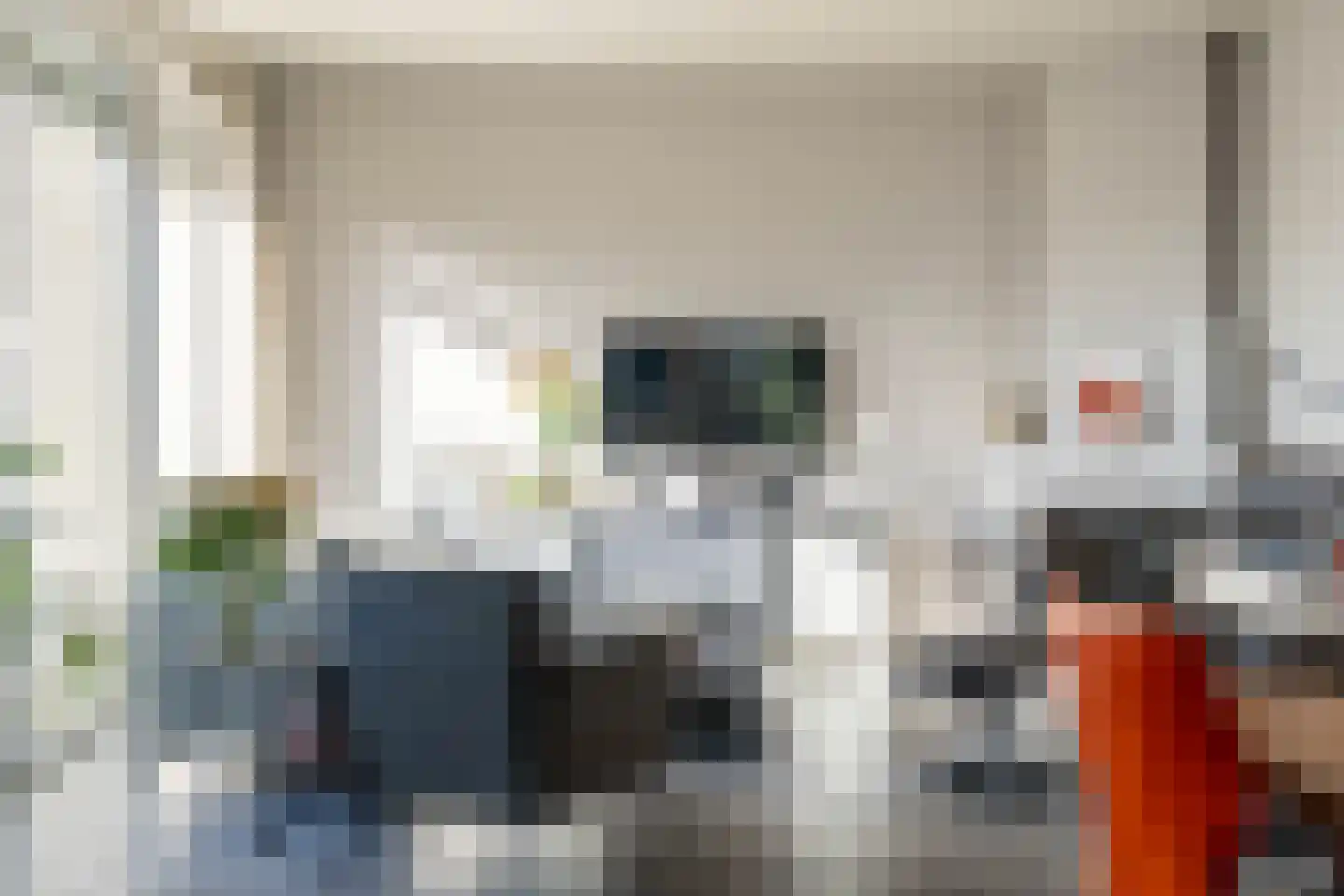 Atlasvlinder 6 Leiden thumbnail 10