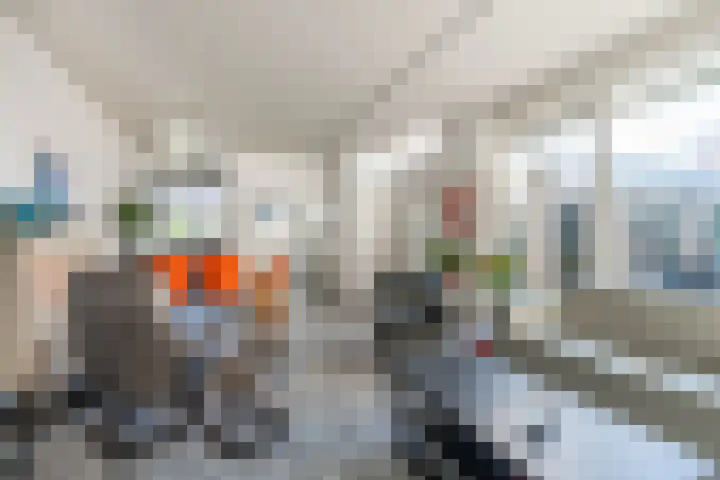 Atlasvlinder 6 Leiden thumbnail 11