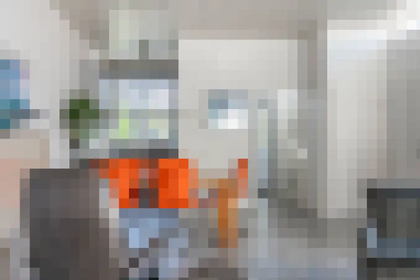 Atlasvlinder 6 Leiden thumbnail 13
