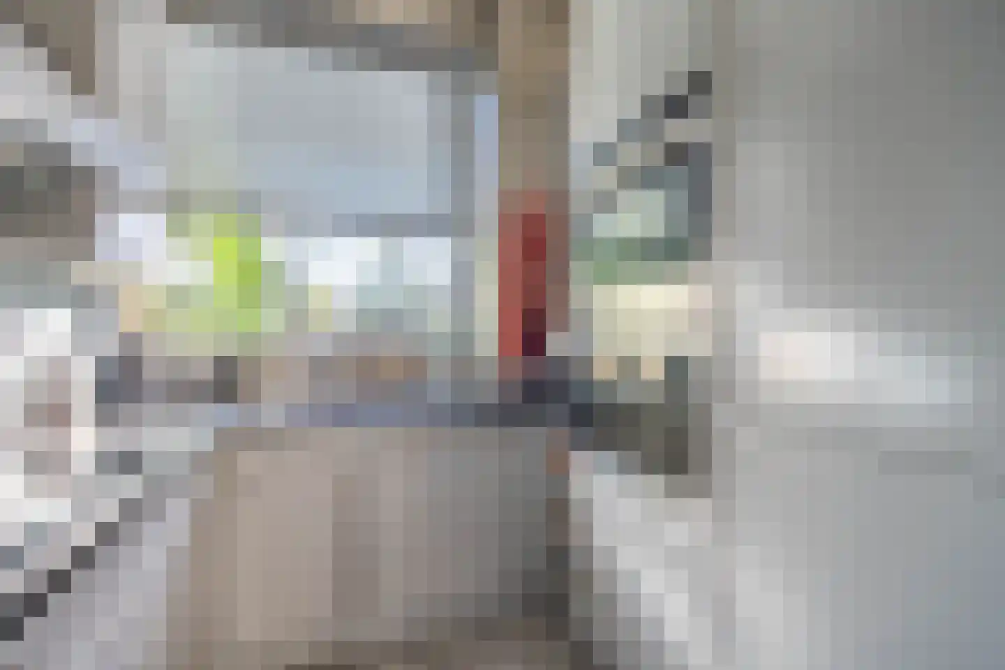 Atlasvlinder 6 Leiden thumbnail 15