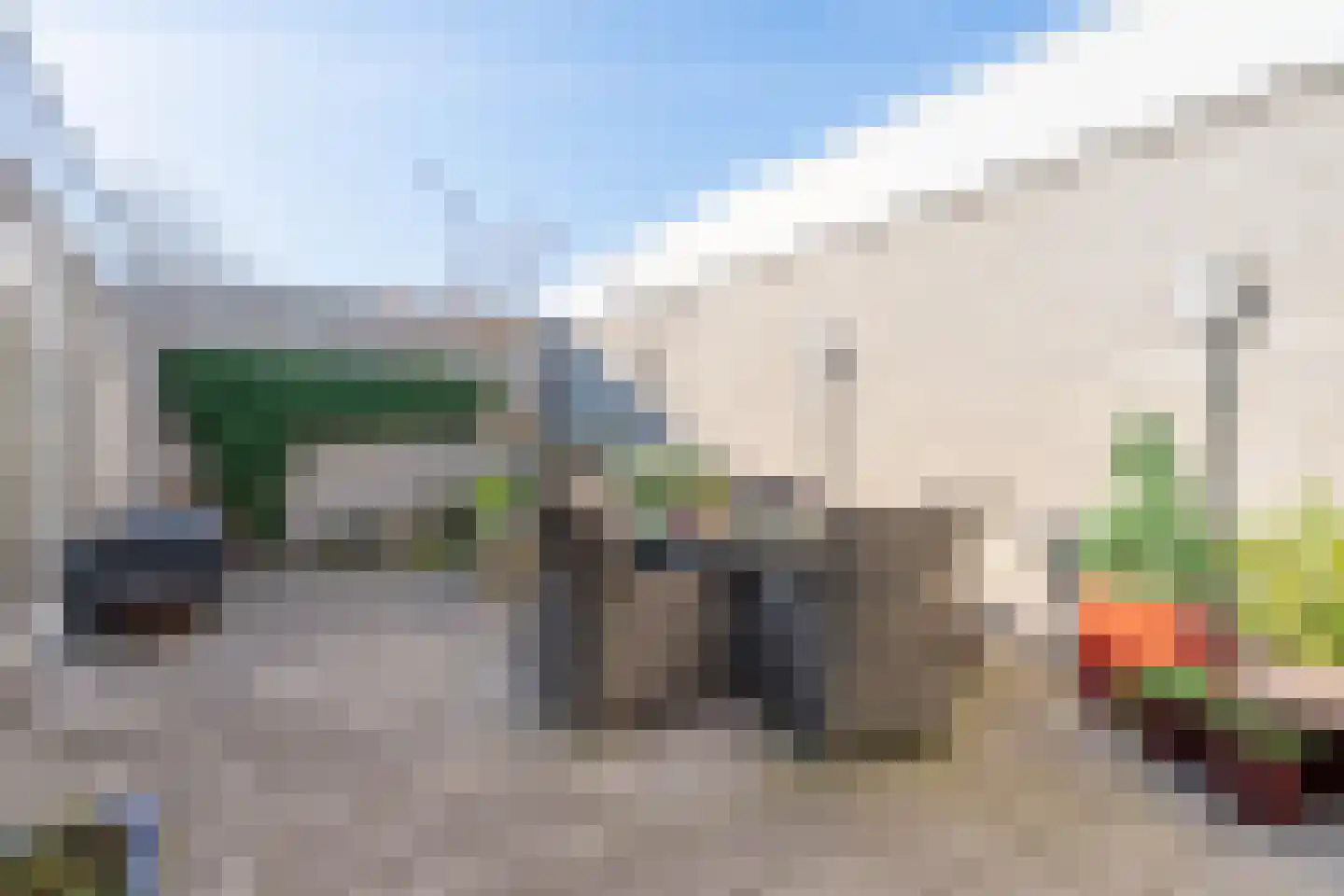 Atlasvlinder 6 Leiden thumbnail 24