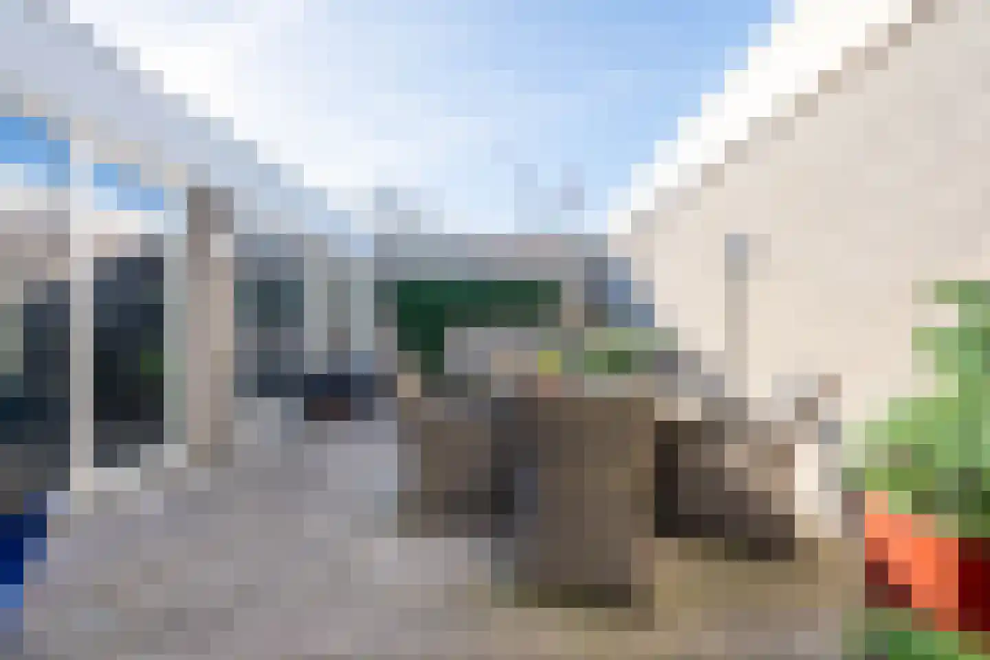Atlasvlinder 6 Leiden thumbnail 25