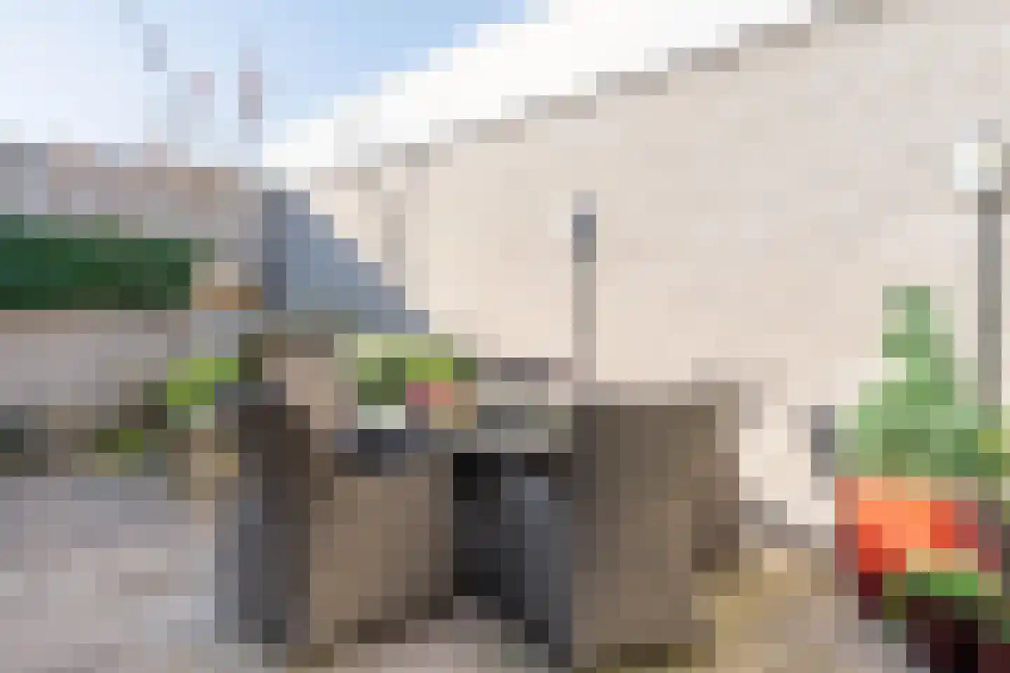 Atlasvlinder 6 Leiden thumbnail 26