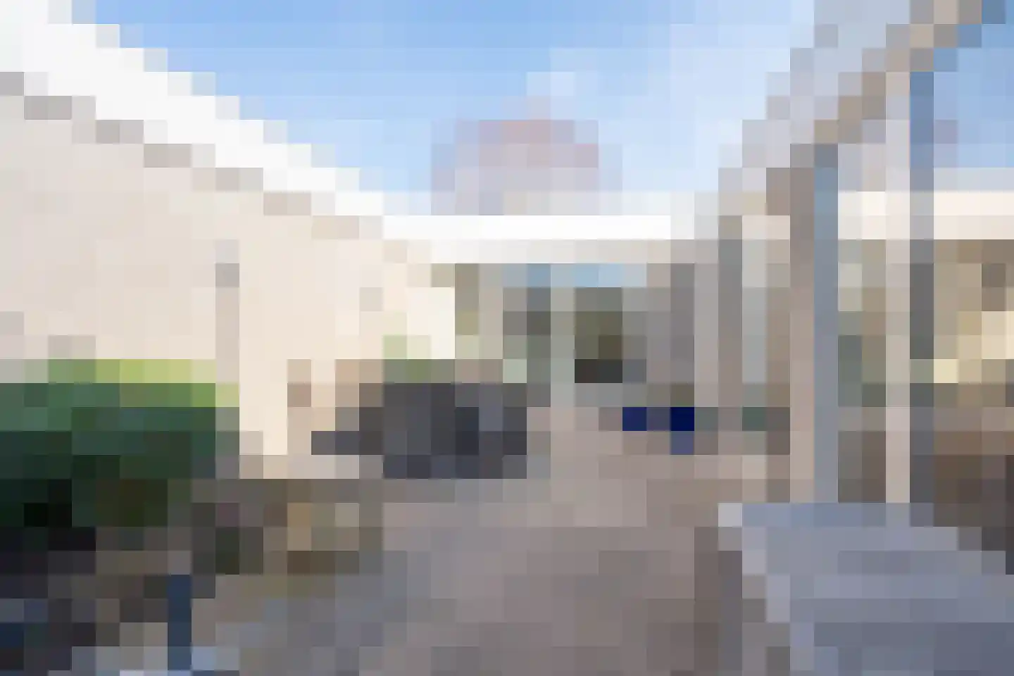 Atlasvlinder 6 Leiden thumbnail 27