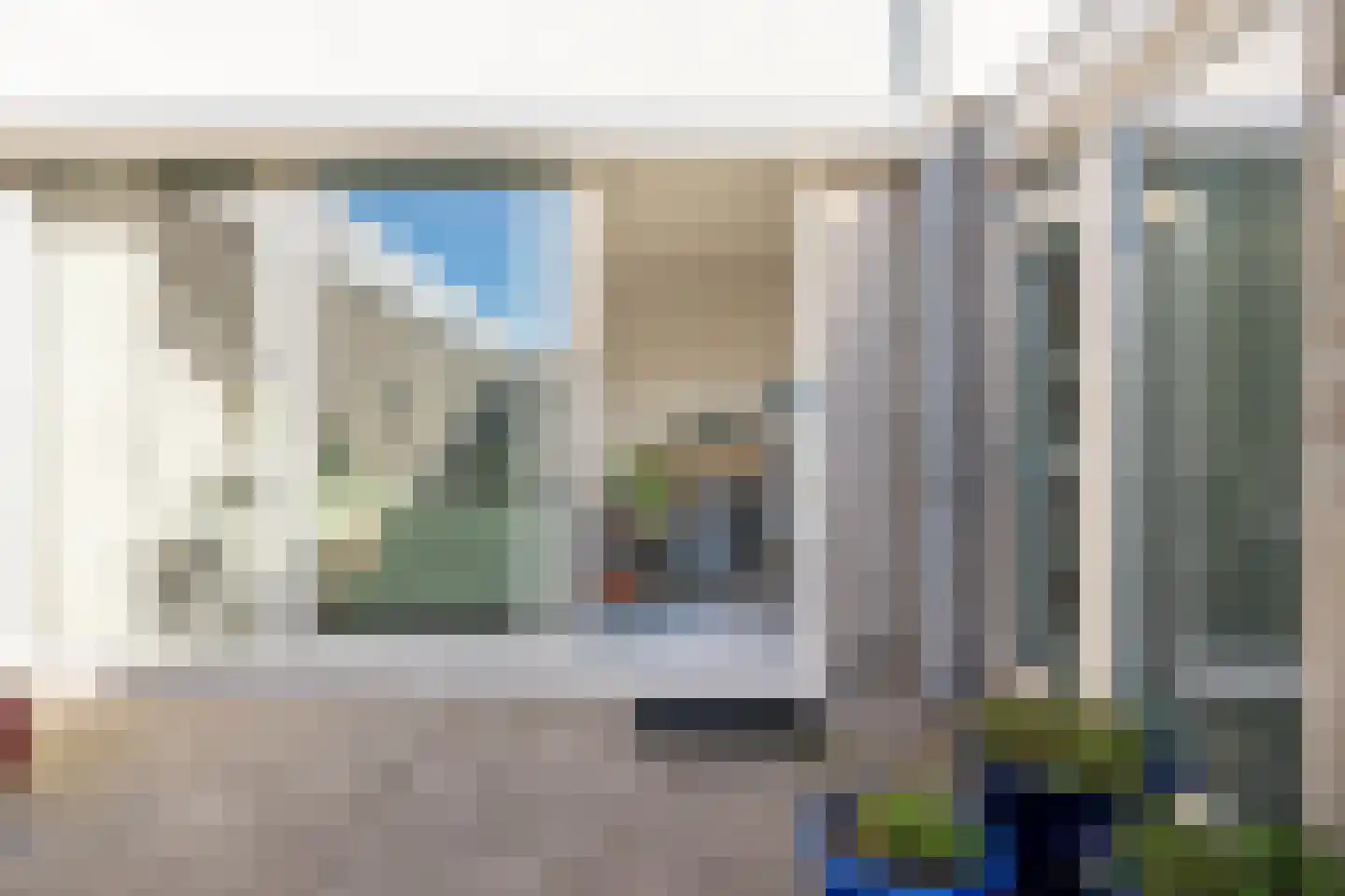 Atlasvlinder 6 Leiden thumbnail 28