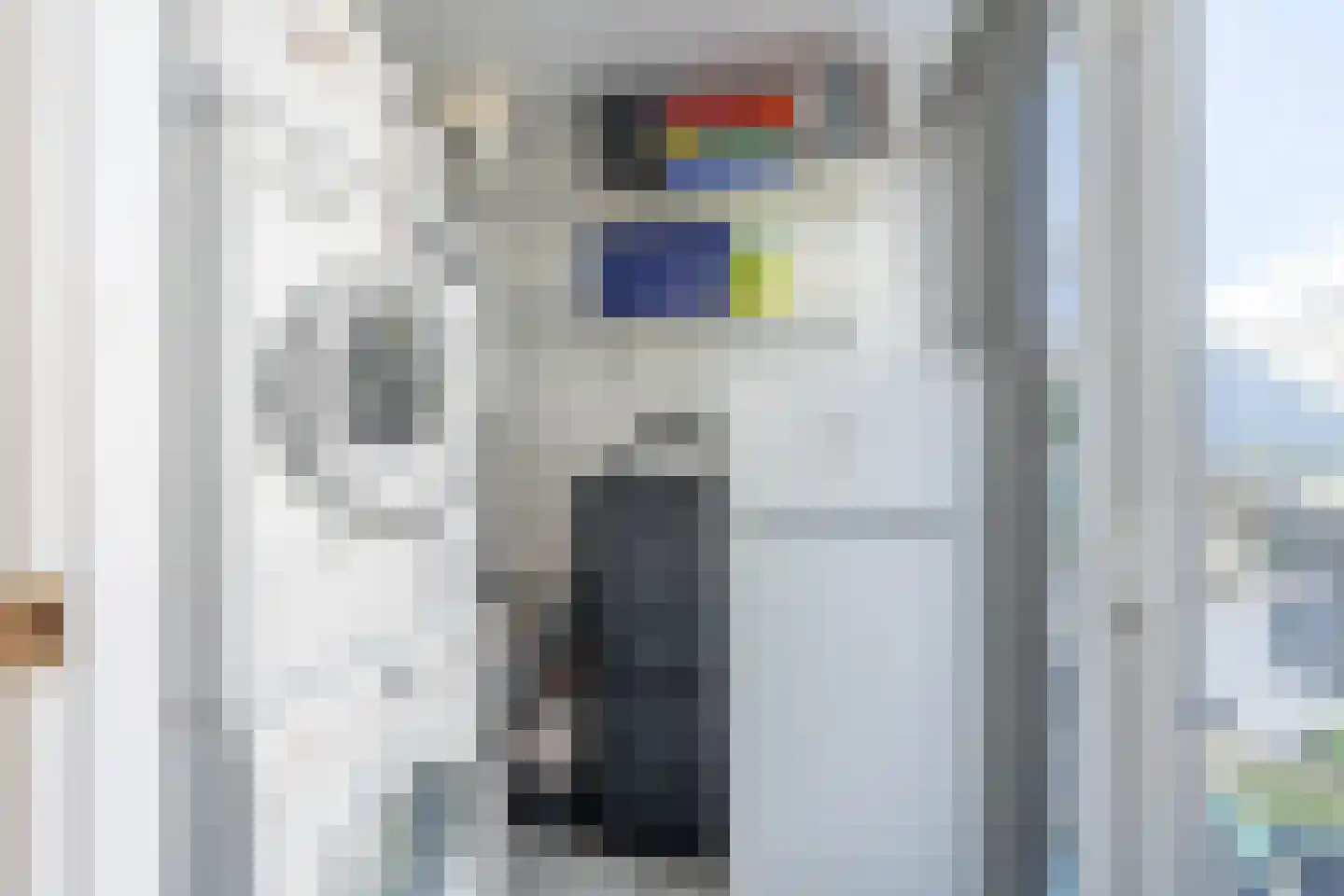 Atlasvlinder 6 Leiden thumbnail 29